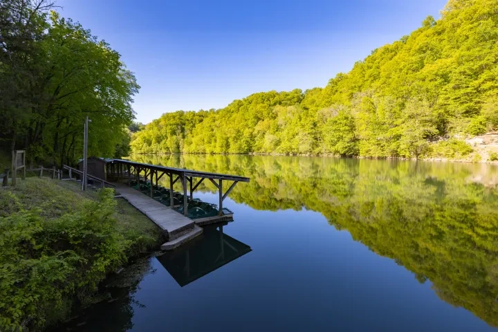 Dock with paddle boats on a calm, reflective lake, surrounded by lush green trees.
