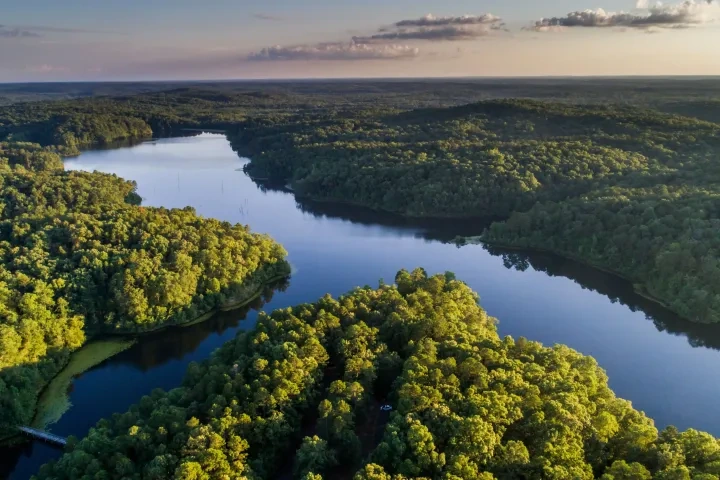 Aerial view of forested landscape with a calm river winding through.