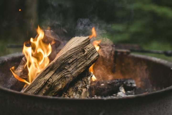 Campfire with burning logs in a metal fire pit, surrounded by greenery.