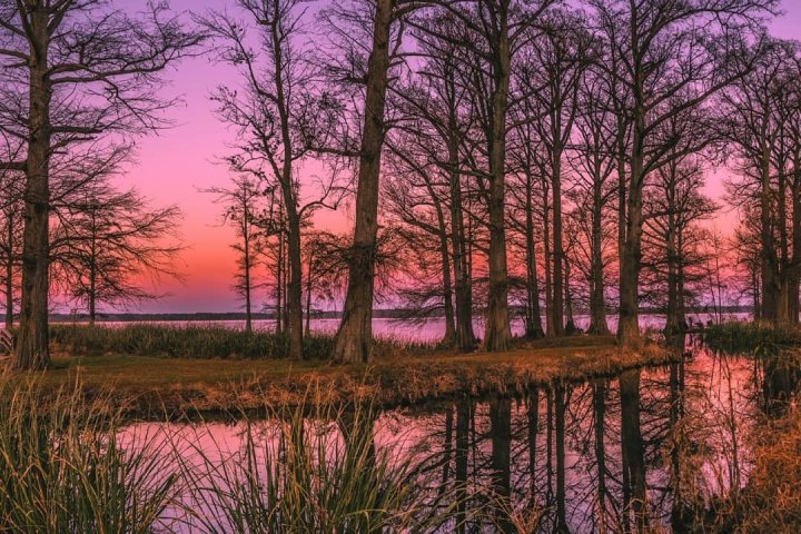 Sunset over a serene lake with silhouetted trees and vibrant sky colors.