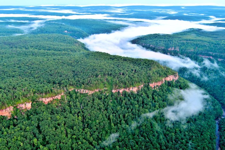 Arial view of a forest taken above the clouds