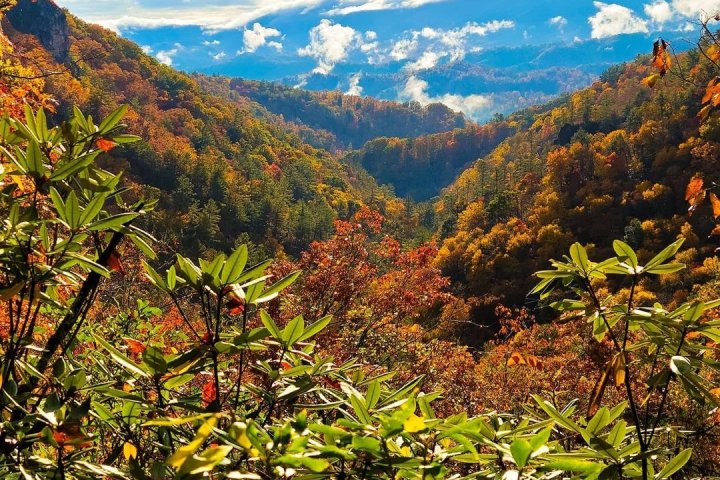 Autumn foliage blankets a mountain valley under a blue sky.