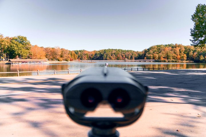 Colorblind Viewers