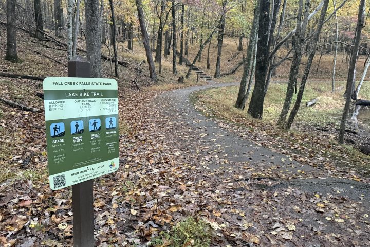Signpost with trail map at a fork in a forested path during autumn.