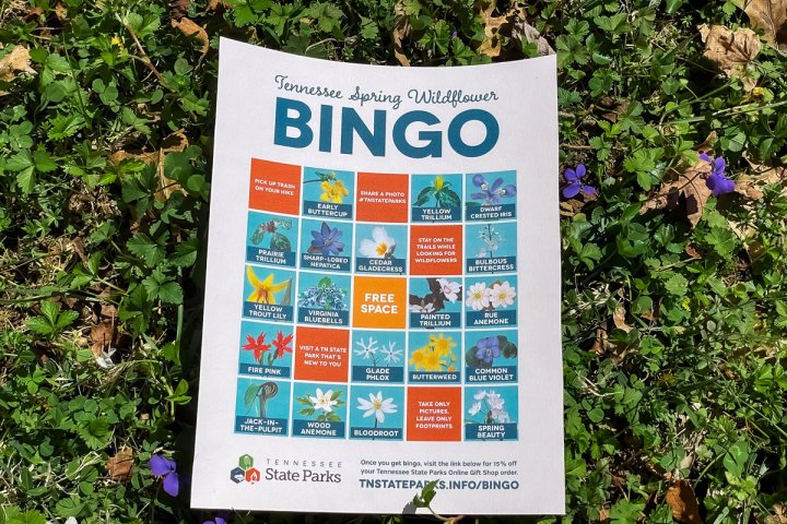 bingo