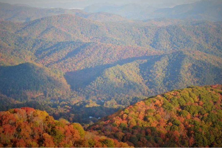 roan_mountain_state_park_fall_colors.jpg