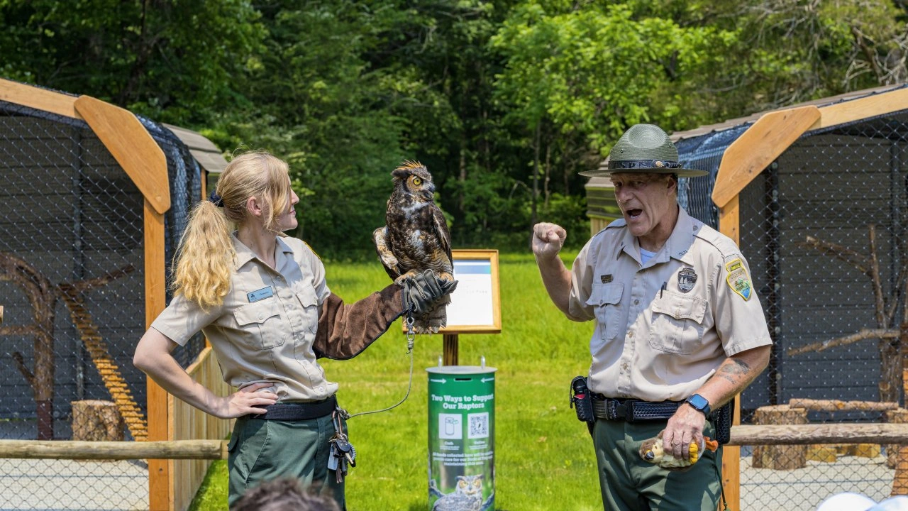 Park rangers with an owl, outdoors, in front of an enclosure.
