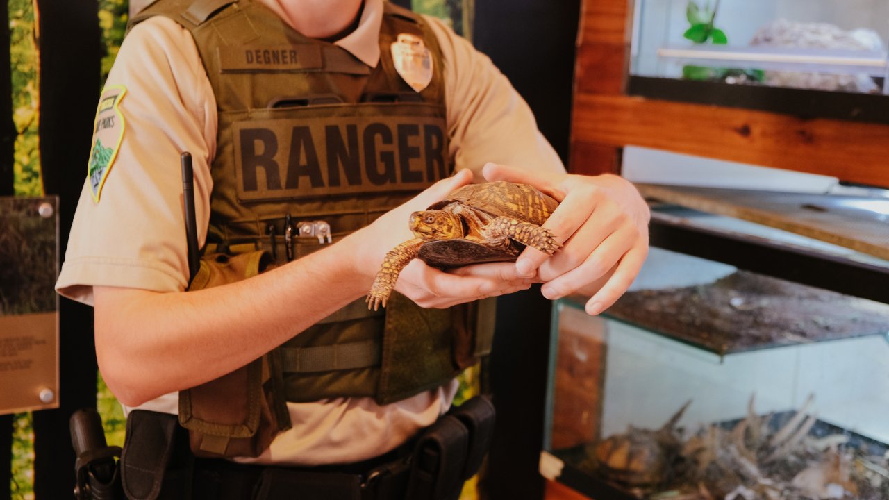 Ranger wearing vest holding a turtle at T O Fuller Park