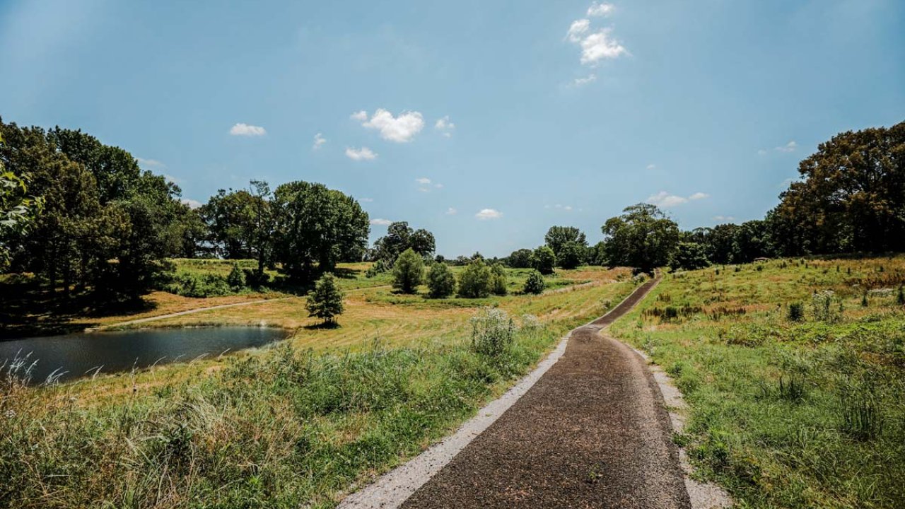 Concrete path that goes along a grass field at T O Fuller