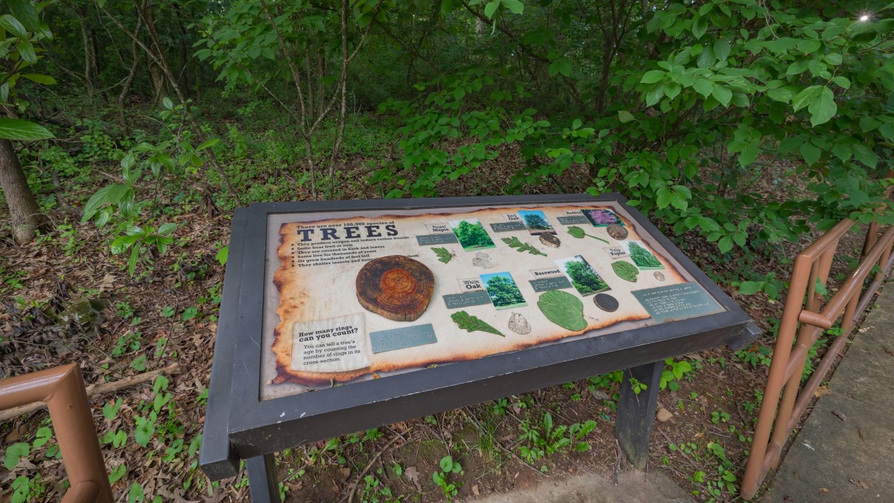 interactive tree sign that shows how to identify different trees in the park and on the trails