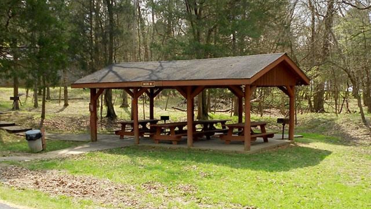 A wooden picnic shelter with a gabled roof stands in a sunlit park. It houses picnic tables and grills, surrounded by lush grass and tall trees, conveying a peaceful, natural setting.