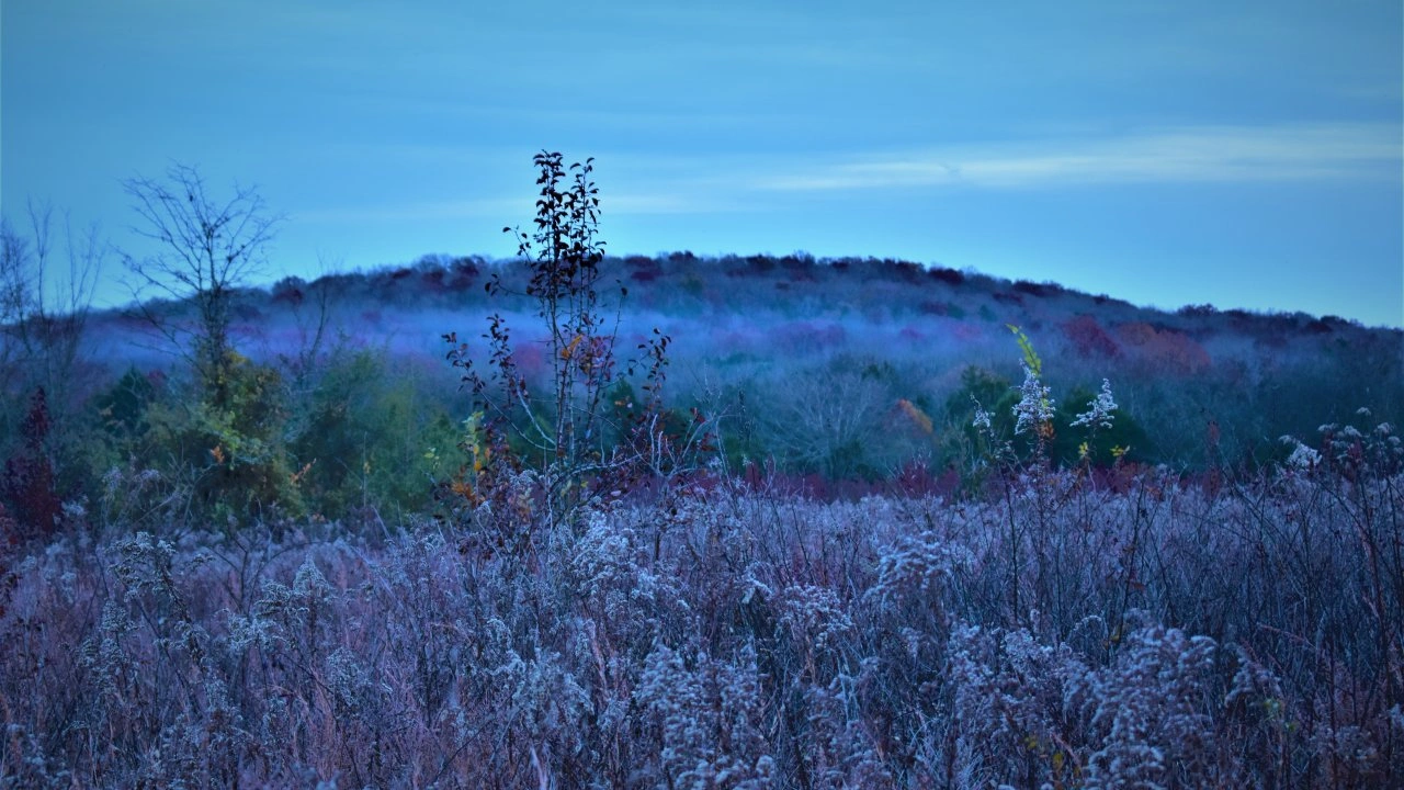 Frosty field with misty hills under a blue dawn sky.