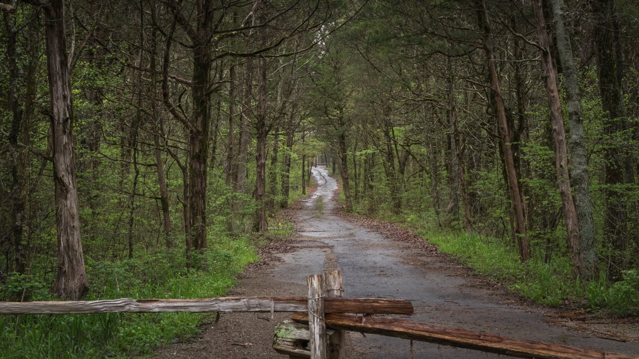 A narrow, winding path leads through a dense forest with lush green foliage. Wooden fence in the foreground, conveying a serene, secluded atmosphere.