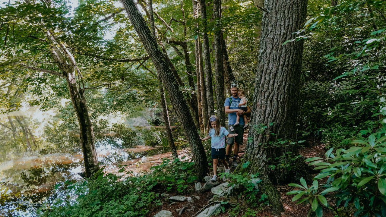 two women hiking on trail with path and trees