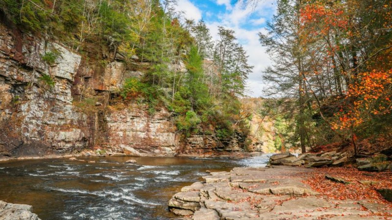 A serene river flows through a rocky canyon lined with lush trees. Autumn leaves add vibrant orange touches, creating a peaceful, natural scene.