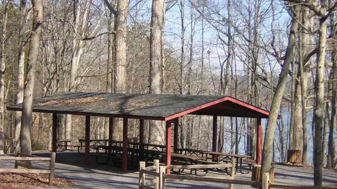 Open pavilion with picnic tables surrounded by tall, leafless trees on a clear day. A tranquil and rustic setting in a natural park area.