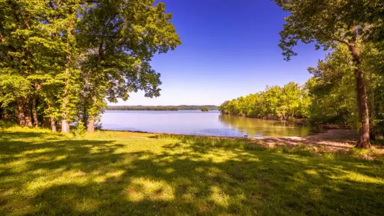 Sunny lakeside with lush green trees and clear blue sky.