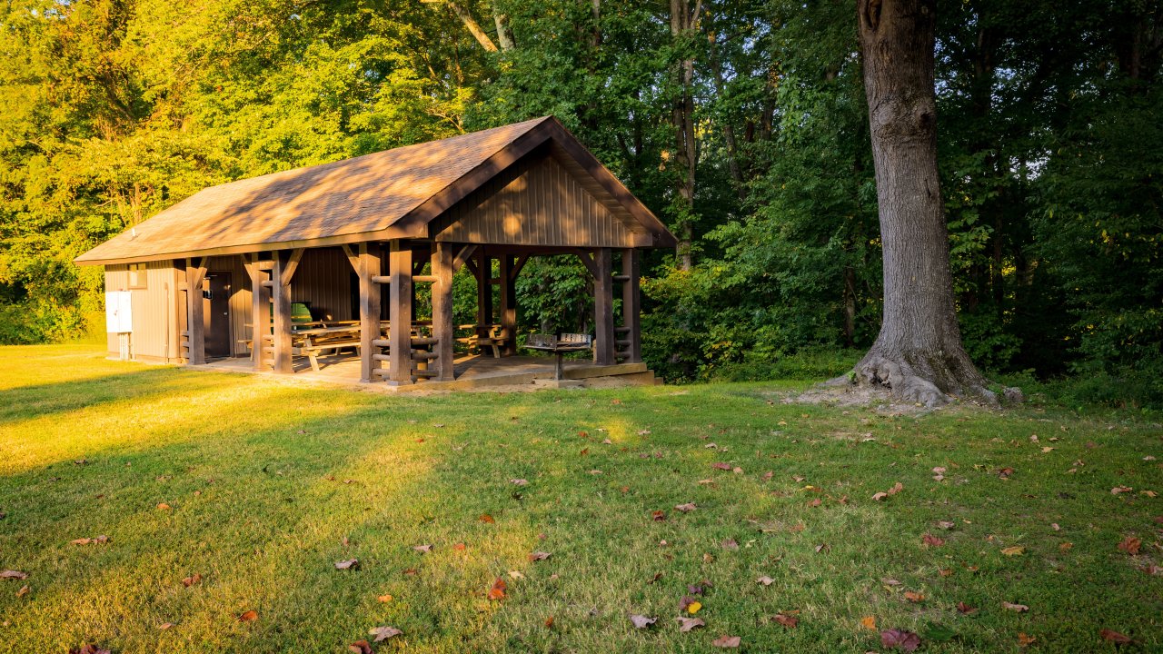 A quaint wooden picnic shelter with benches stands on sunlit grass beside a large tree.