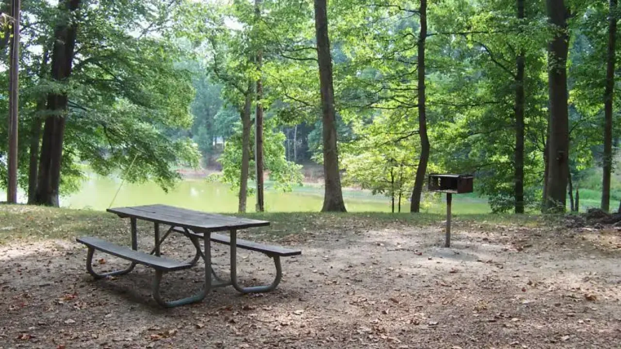 A serene picnic area features an empty wooden table, a metal grill, and lush green trees. Nearby, a calm lake creates a peaceful atmosphere.