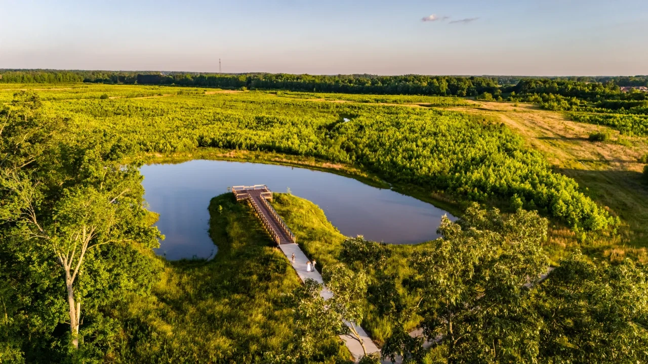 Aerial view of a pond with a wooden dock extending into it, surrounded by vibrant green fields and trees at sunset.