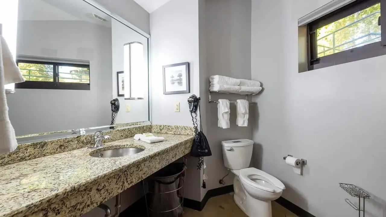 Bathroom with granite countertop, towels, toilet, and large mirror.