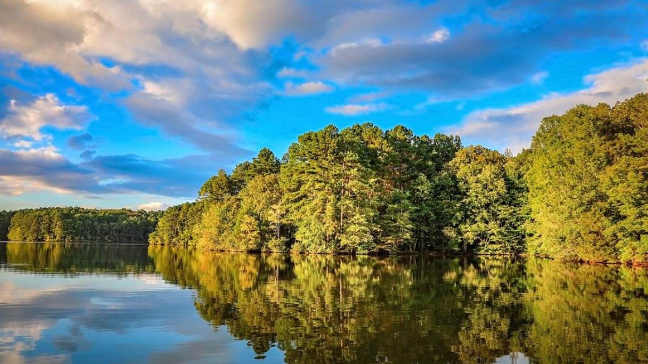 A serene lake reflects lush green trees and a blue sky with scattered clouds. 