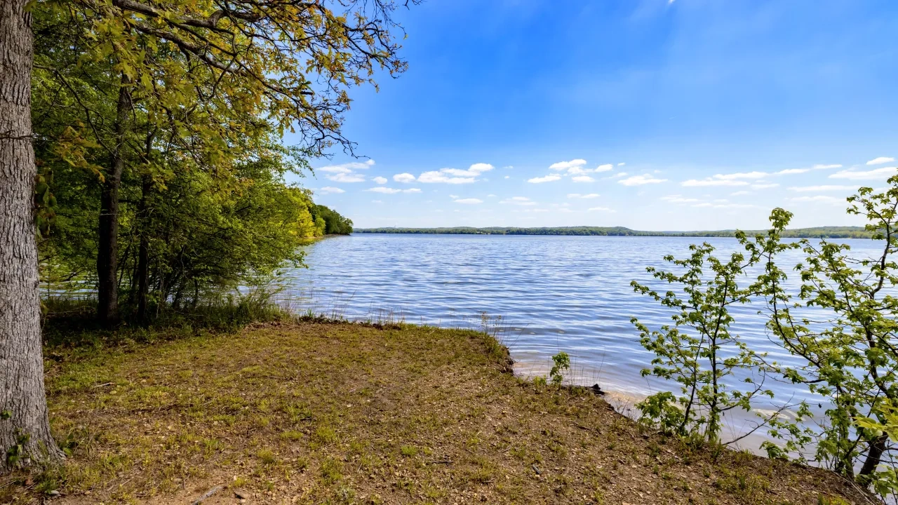 Lakeside view with trees, grassy shore, and blue sky with clouds.
