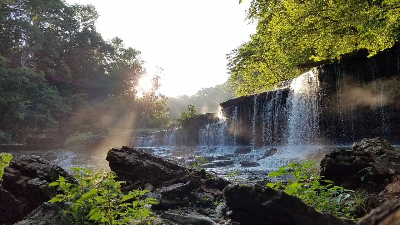 Waterfall in a lush forest with sunlight filtering through trees.