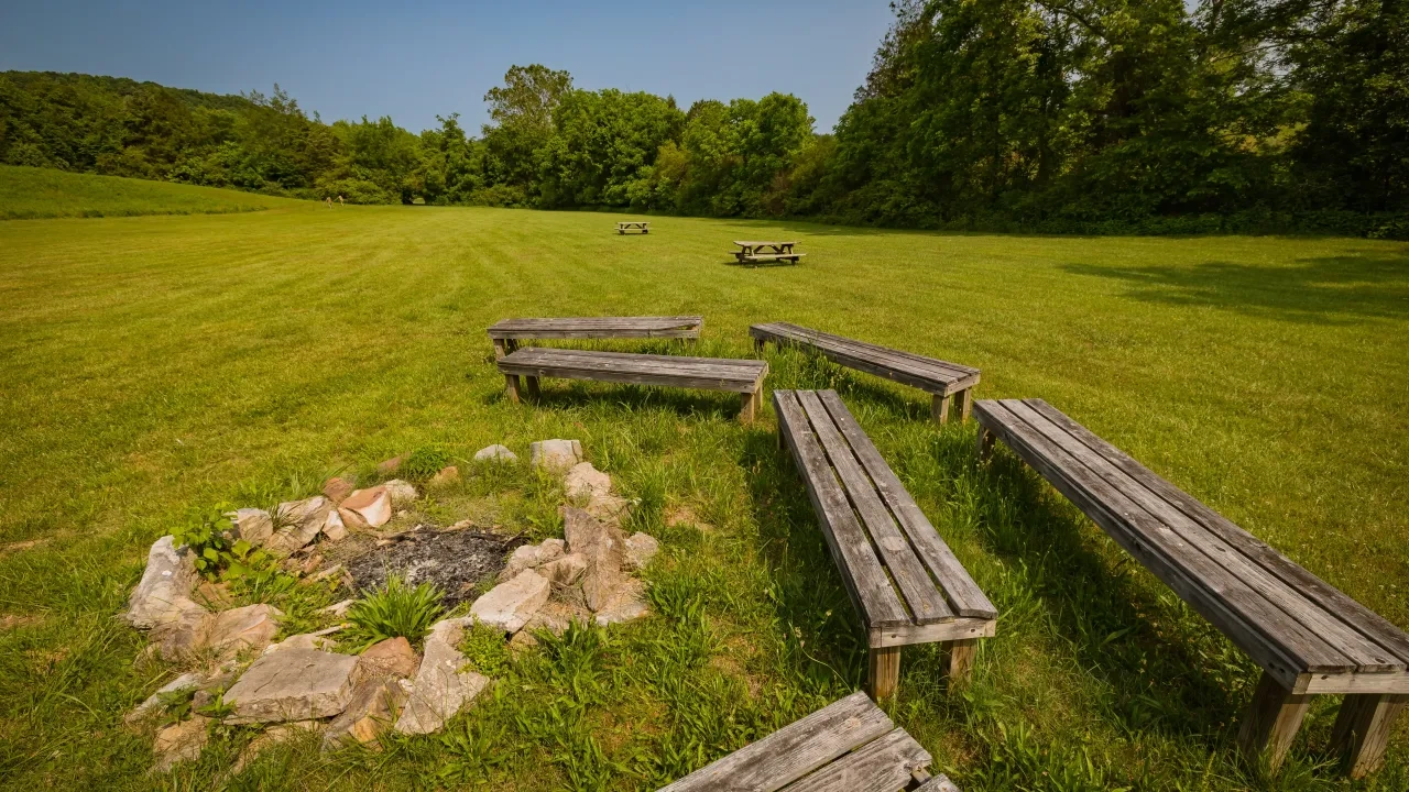 Campfire area with wooden benches on grassy field, surrounded by trees.