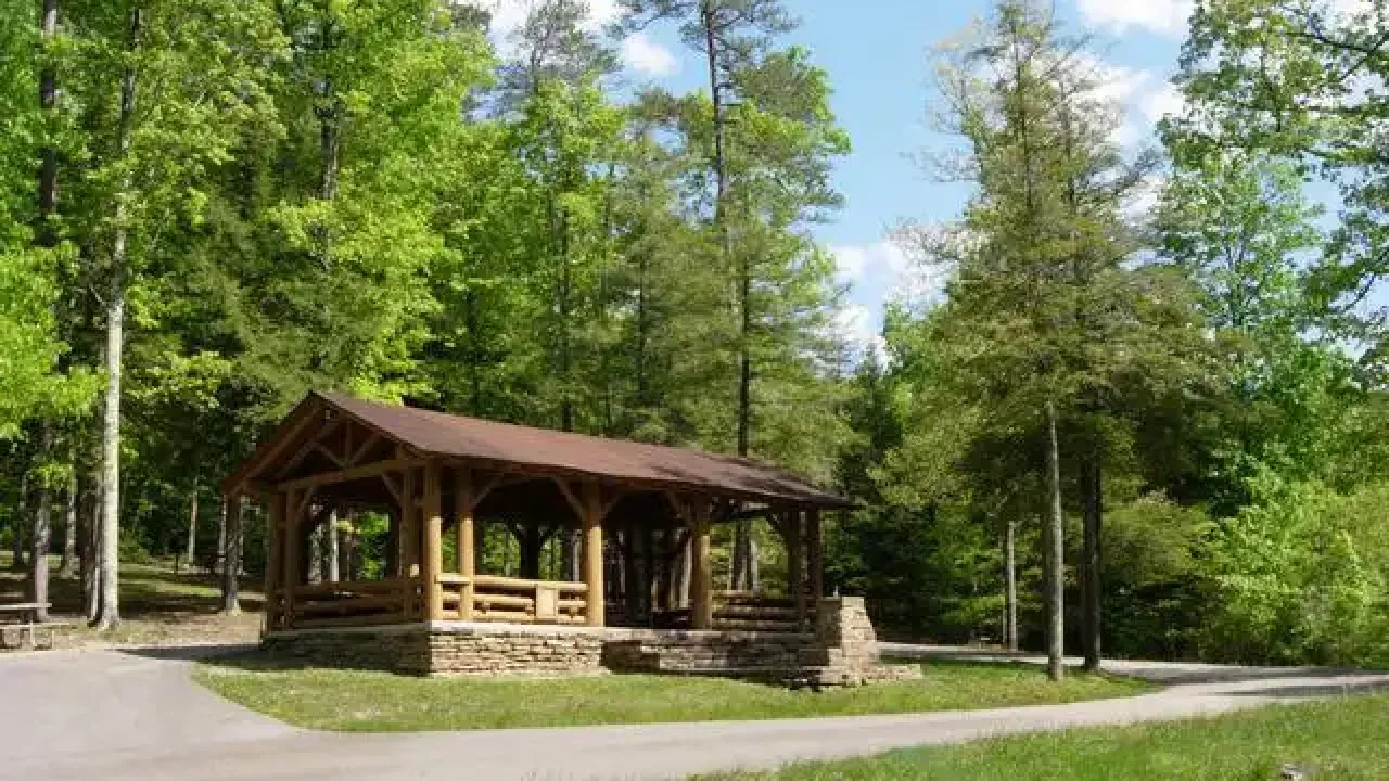 Wooden pavilion in a lush, green forest with a winding path.