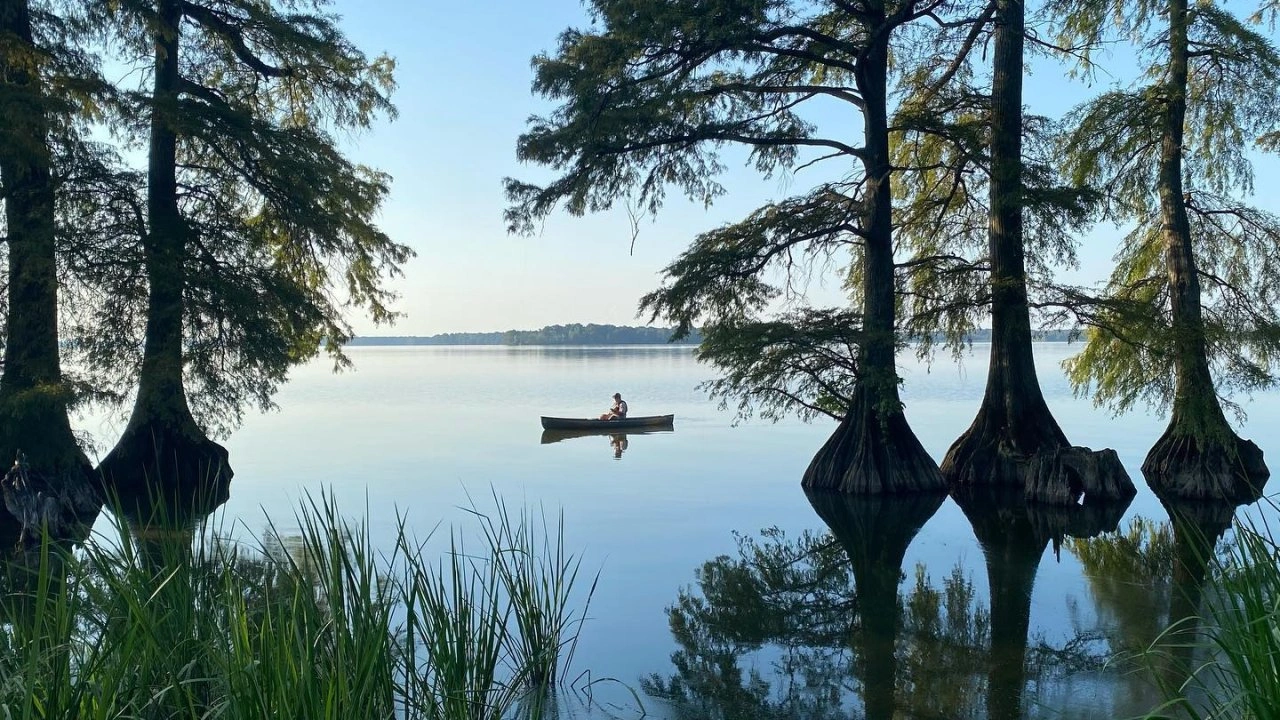 Canoeist on calm lake between tall trees with reflections.