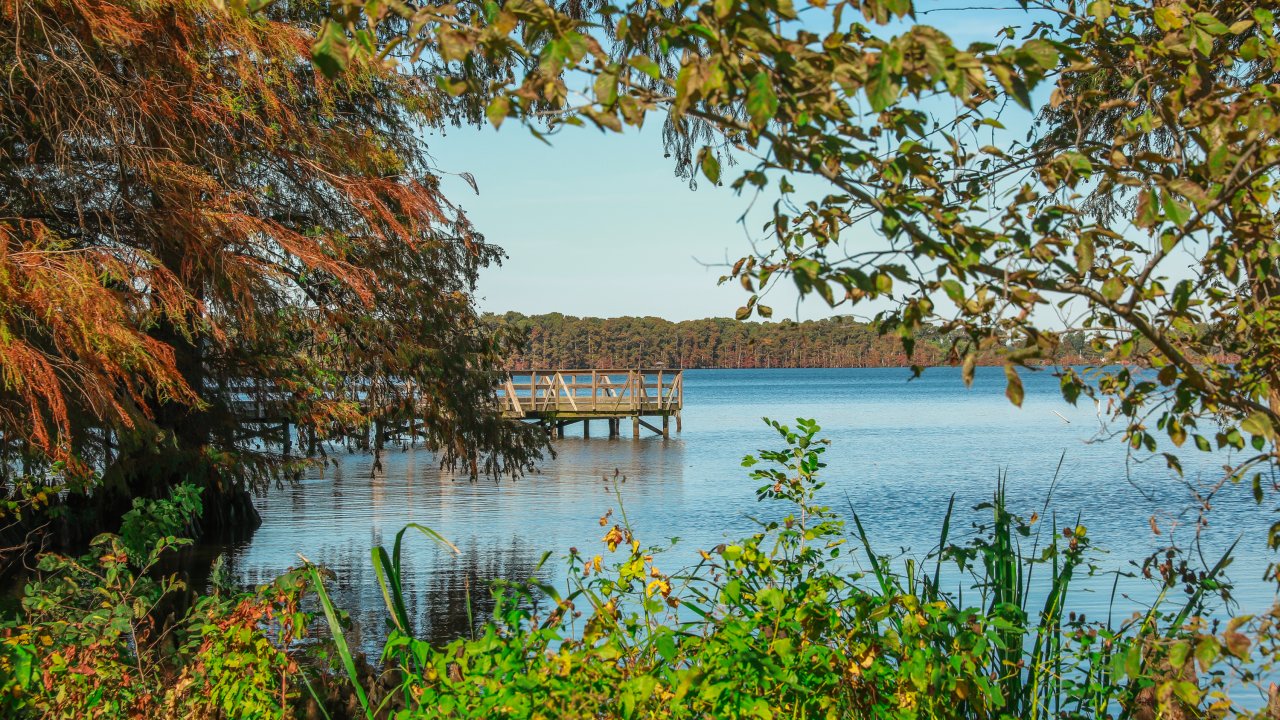 Tranquil lake scene with a wooden dock in the distance, surrounded by lush green foliage and trees under a clear blue sky, conveying serenity.