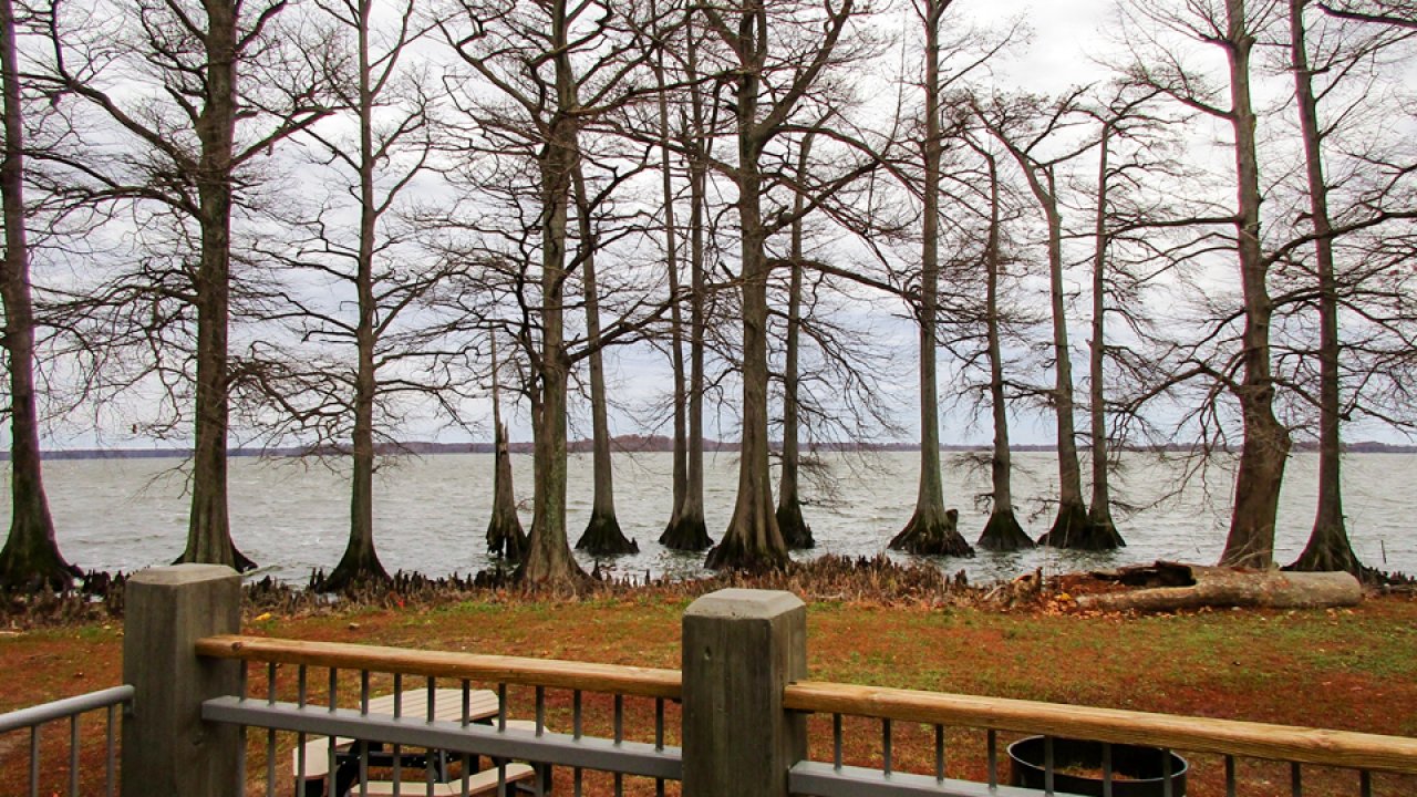 view of the water from the deck, picnic tables and firepit in the back