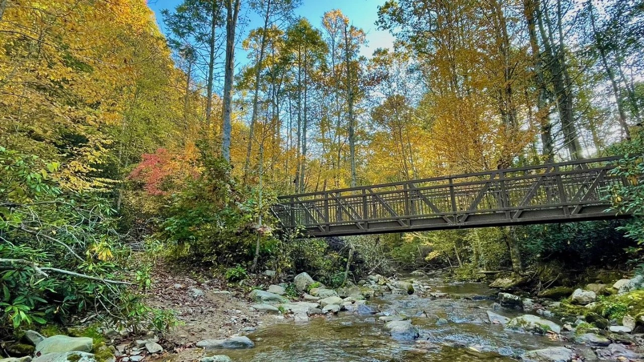 Wooden bridge over a clear stream, surrounded by colorful autumn trees.