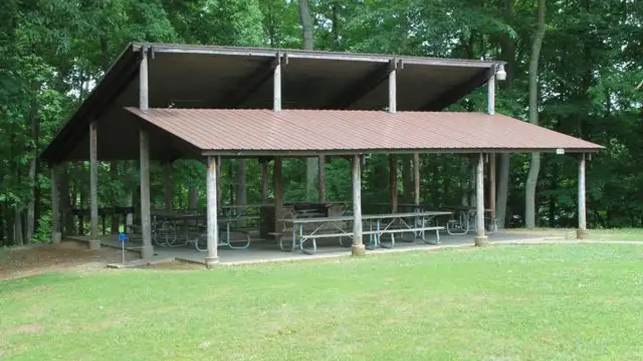 Open wooden picnic shelter in a park with a red sloped roof, surrounded by lush green trees and grass, featuring multiple metal picnic tables.
