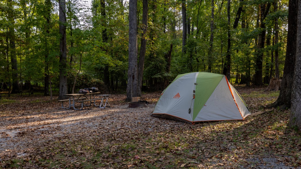 A gray and green tent set up on a campsite in a wooded area.