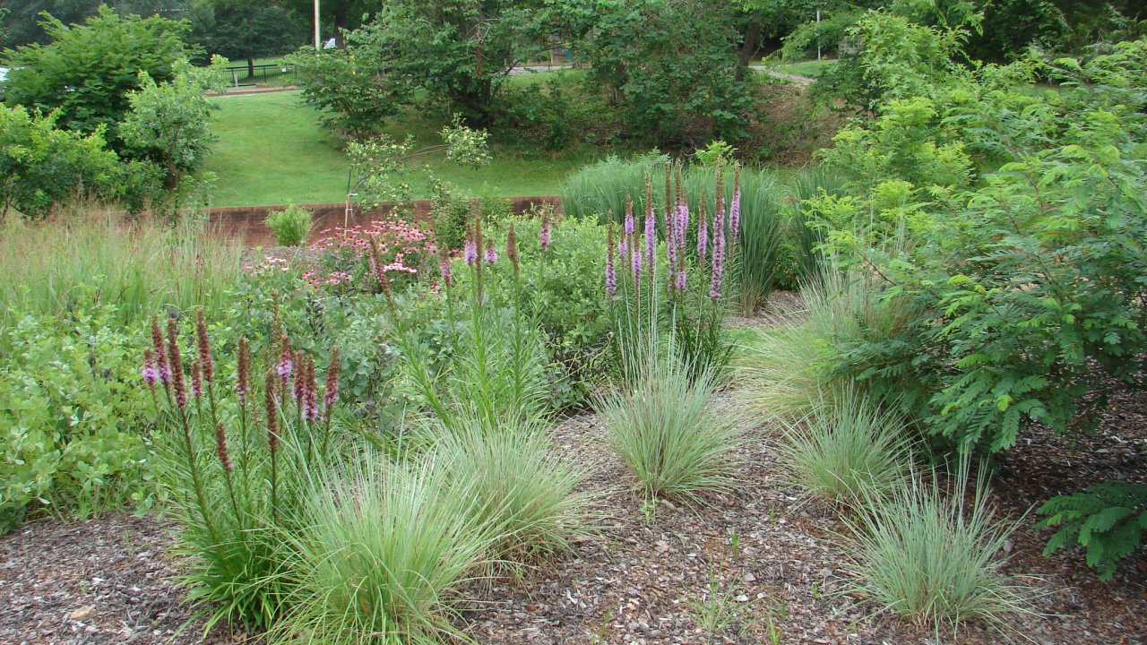 butterfly garden