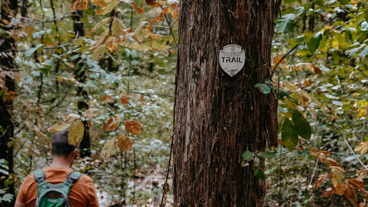 A man with a green backpack and a child walk down a forest trail in autumn. A tree with a "Trail" marker stands nearby. The scene feels tranquil and adventurous.