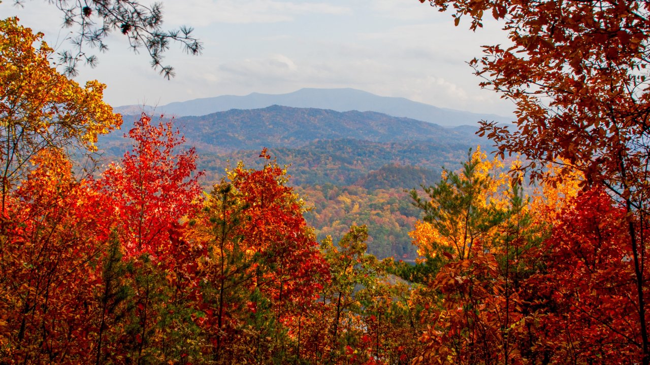 Autumn landscape with vibrant red, orange, and yellow foliage in the foreground, set against distant blue mountains under a partly cloudy sky.
