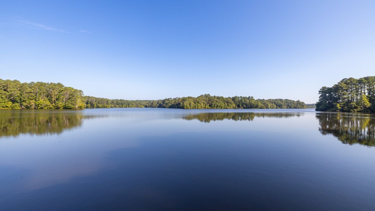 Calm lake under a clear blue sky, surrounded by dense green trees reflecting on the water. The scene conveys tranquility and natural beauty.