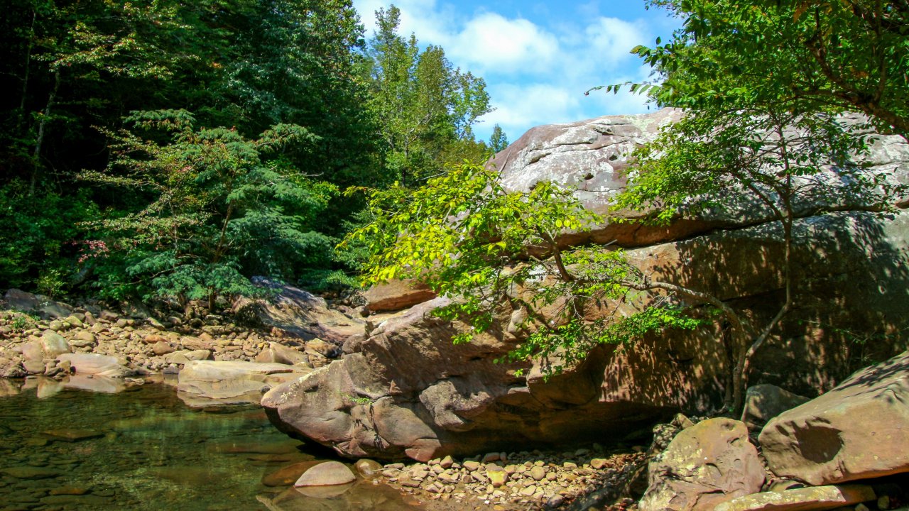 A serene forest scene with a clear stream flowing over rocks, surrounded by lush green trees and a large rock formation under a bright blue sky.