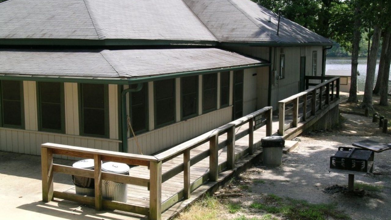 A cozy, single-story house with a light gray exterior and a sloped roof is nestled among tall trees, with a wooden ramp leading to the entrance. Sunlight filters through the leaves, casting dappled shadows on the grassy yard, creating a serene, inviting atmosphere.