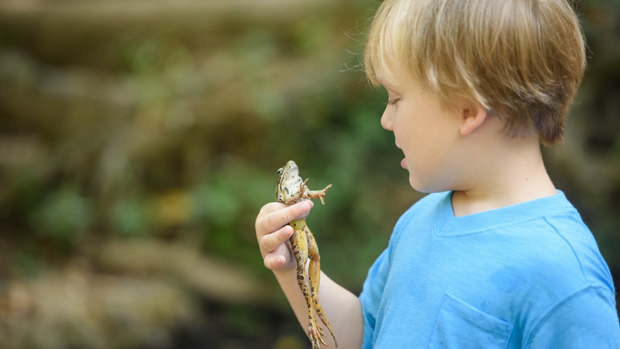 child holding a frog