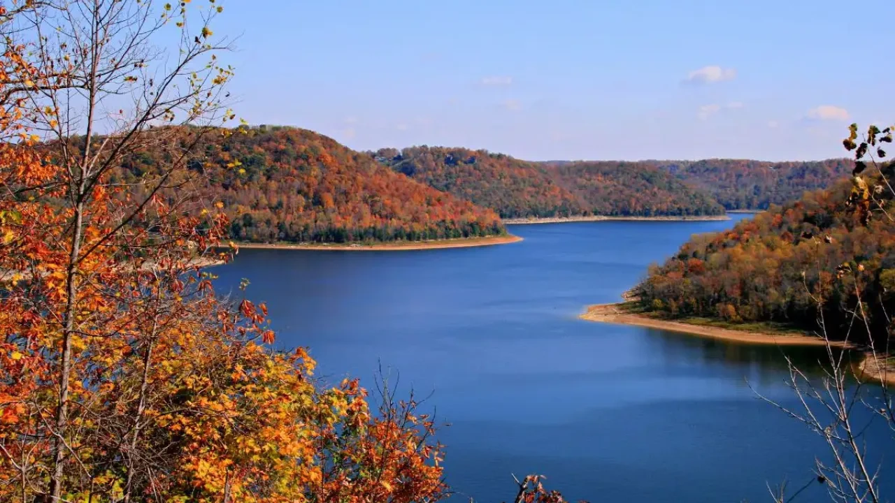 Autumn trees by a calm blue lake under a clear sky.