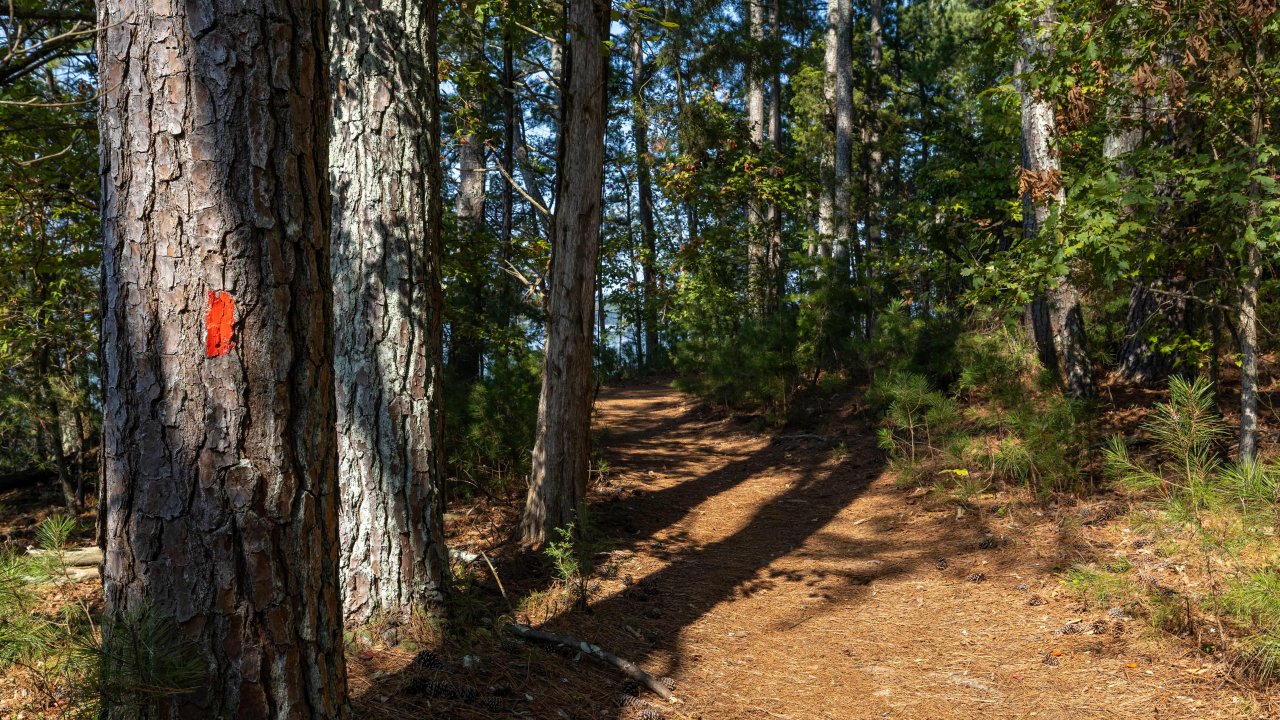 red marked trail