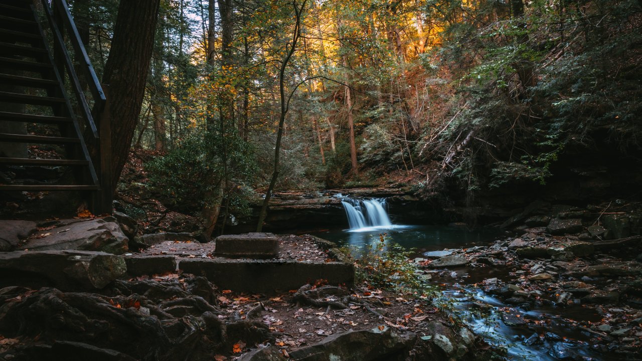 Forest scene with a small waterfall flowing into a tranquil pool, surrounded by lush green foliage. A staircase descends on the left side, evoking a serene, natural atmosphere.