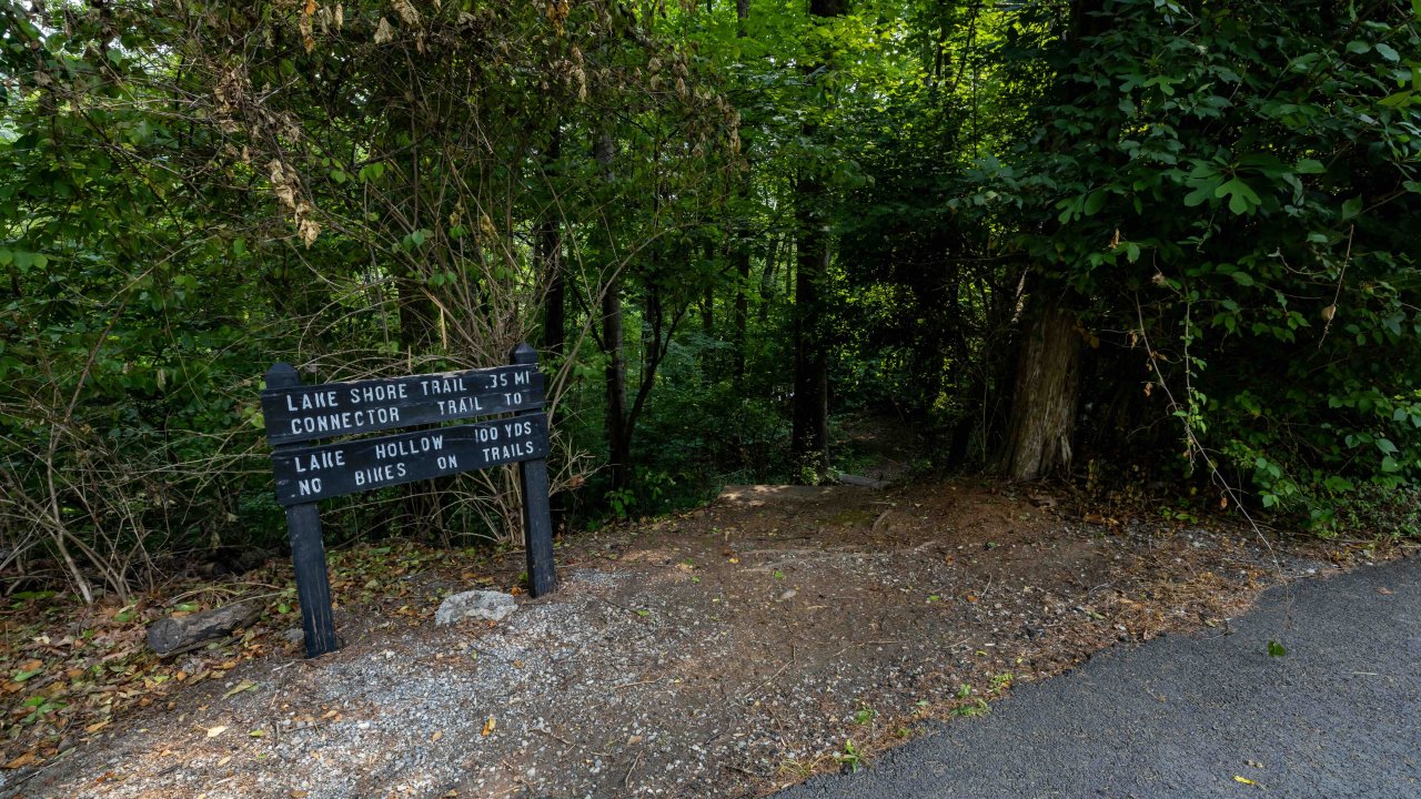 black sign with text that says lake shore trail .35 mi and a natural trail that goes into a forest