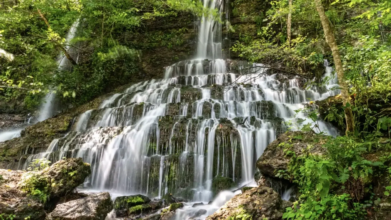 Cascading waterfall in a lush green forest.