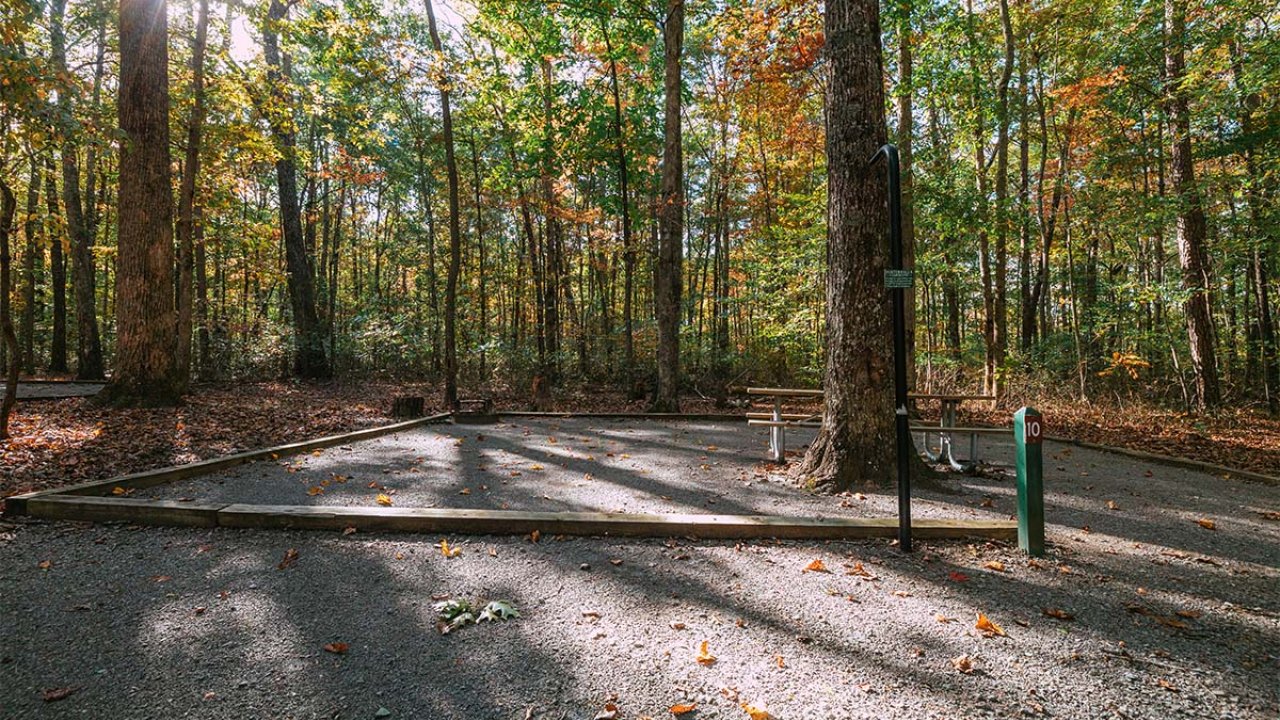 Sunlight filtering through trees onto an empty park road surrounded by autumn foliage.