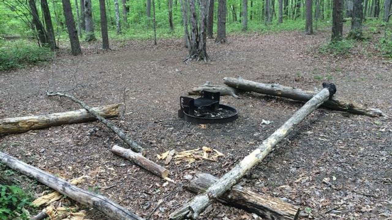 Campsite in a forest with a fire pit and wooden benches arranged in a square.